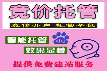 百度推广托管策略：成功企业的广告投放经验